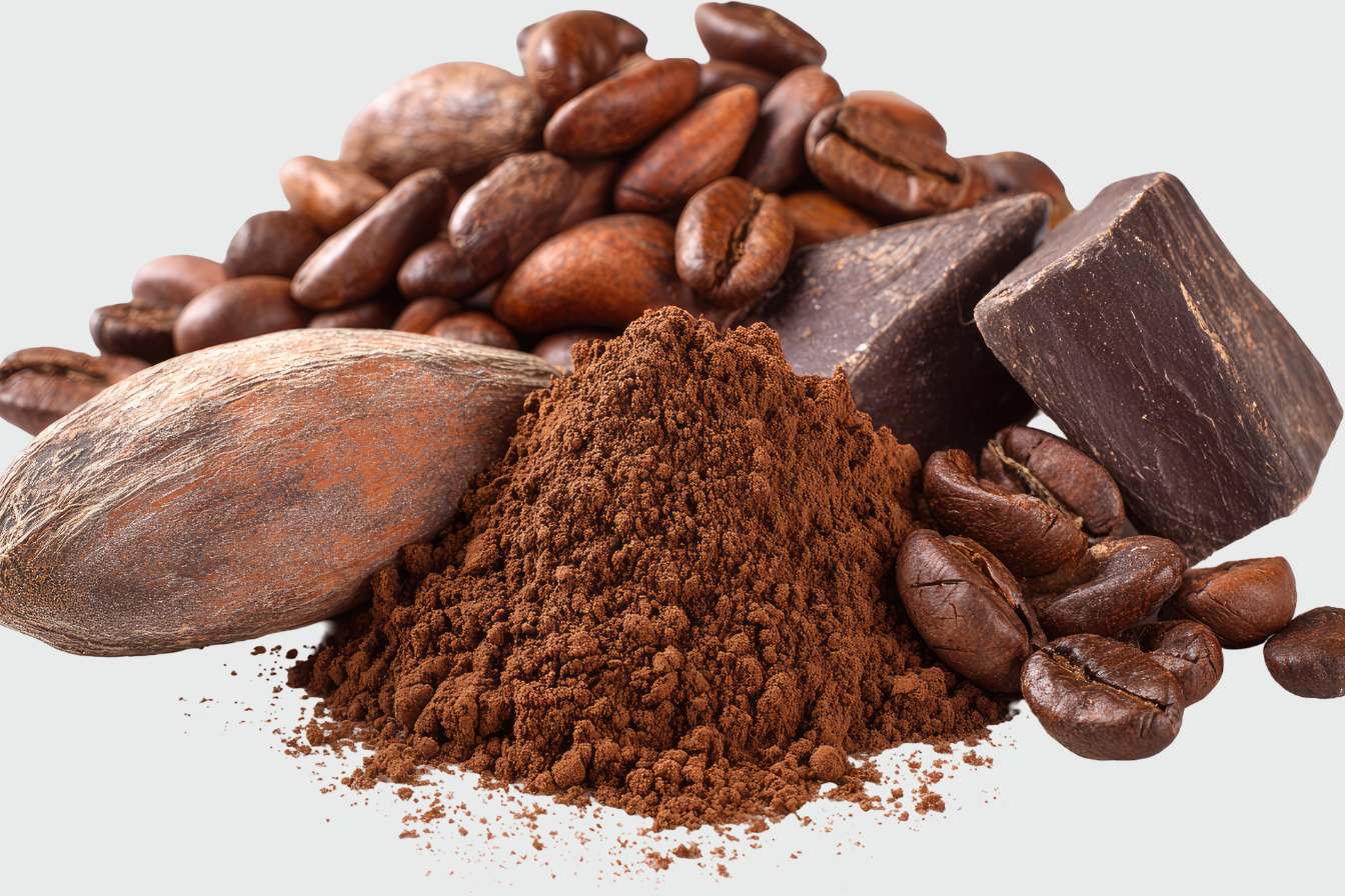 Le cacao au Cameroun
